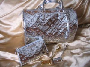 silver louis vuitton handbag and coin purse.jpg